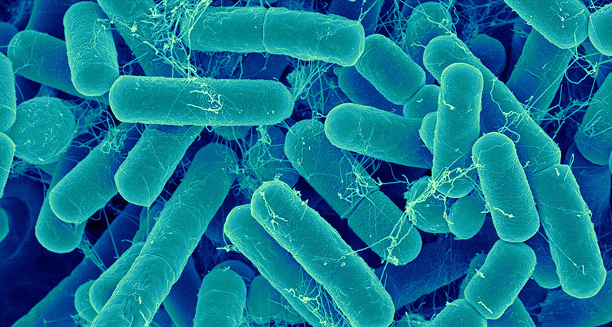 Read more about the article Tag team gut bacteria worsen symptoms of multiple sclerosis